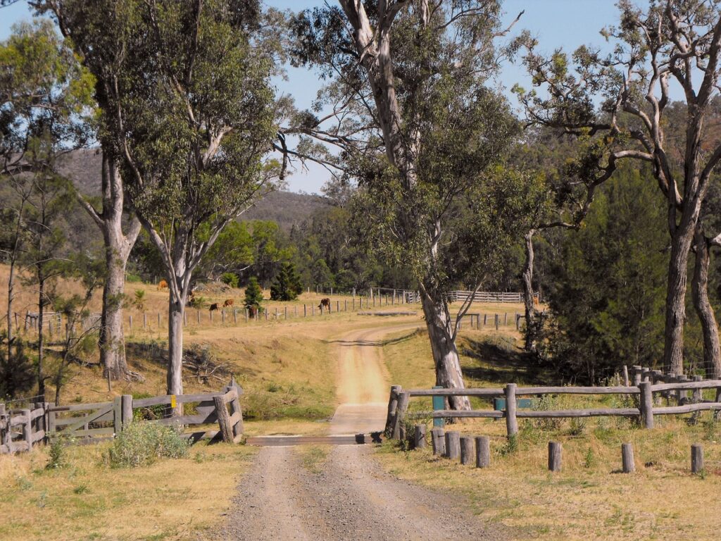 Wiejska droga w Queensland