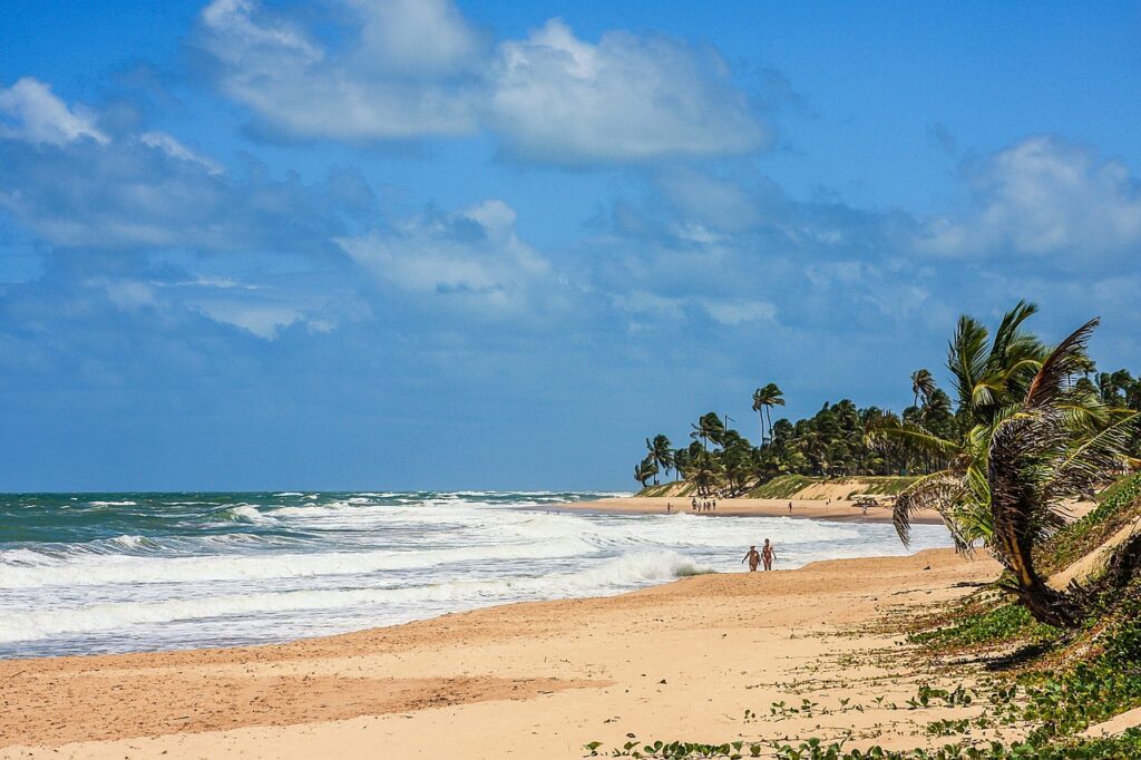 Plaża w Brazylii