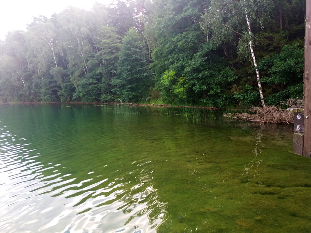 Jezioro Wigry, Wigierski Park Narodowy