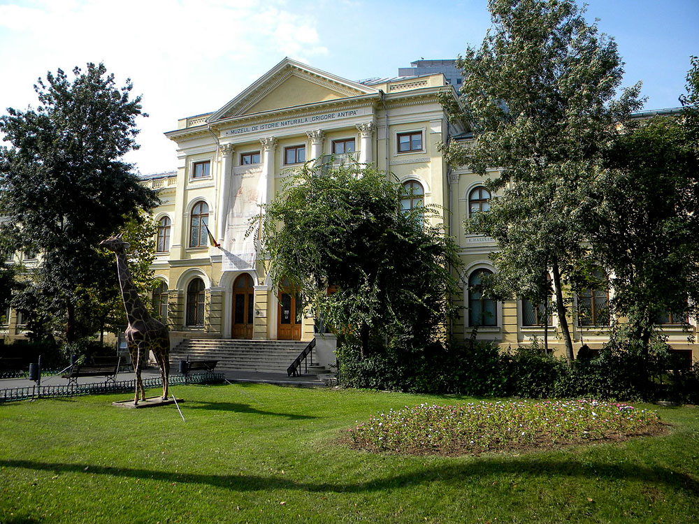 Muzeum Naturalne w Bukareszcie