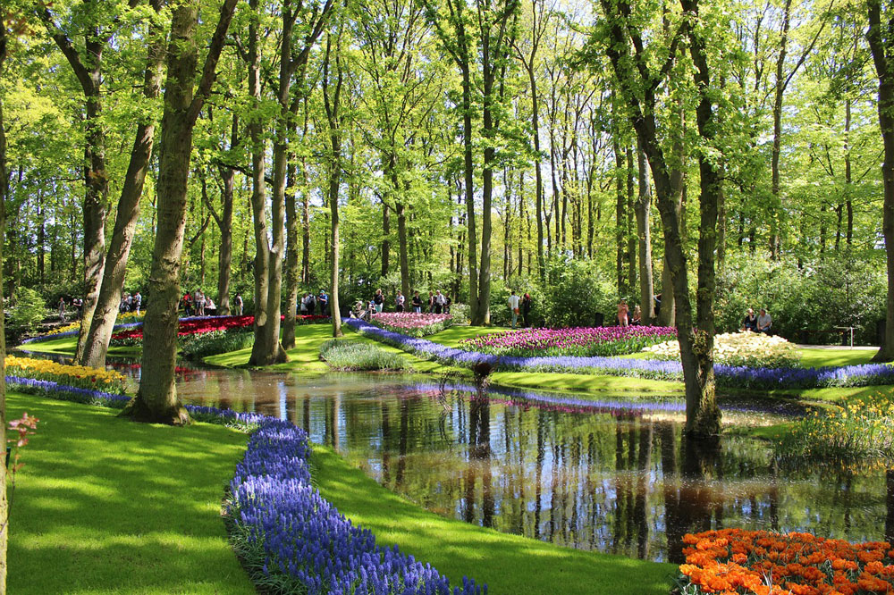 Aranżacje kwiatowe w Keukenhof