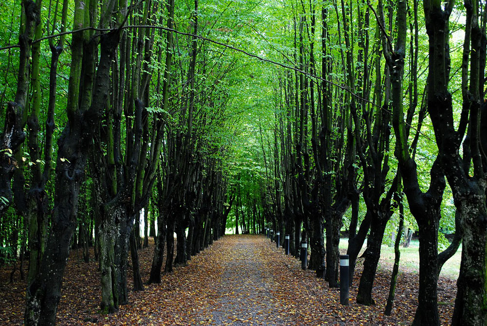 Park zamkowy w Baranowie Sandomierskim