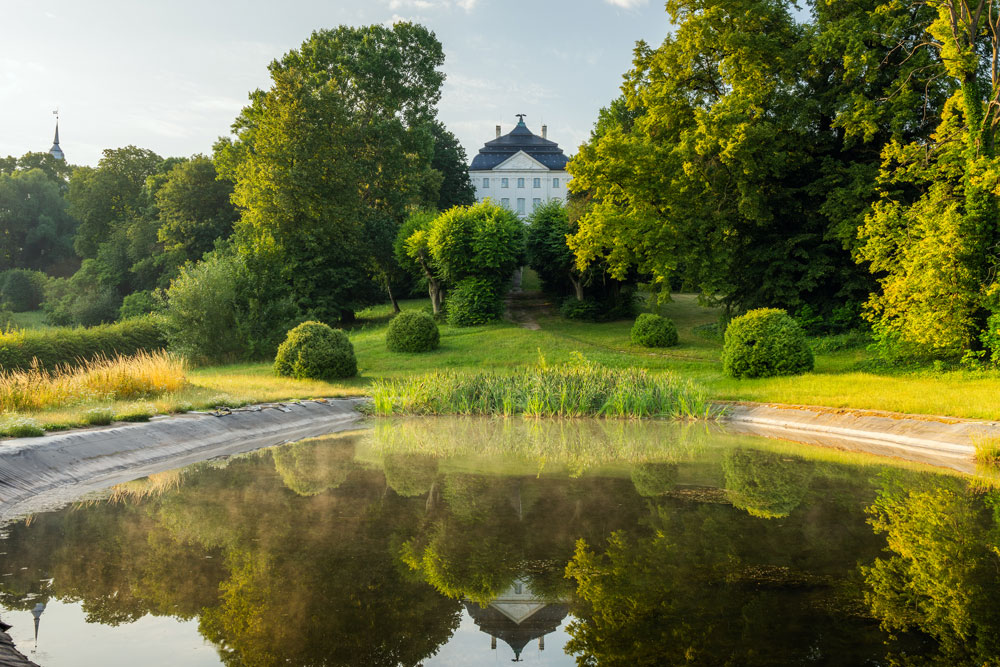 Park pałacowy