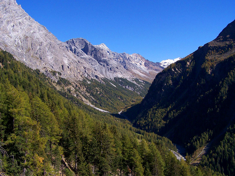 Dolina Zebrù (Valle dello Zebrù)