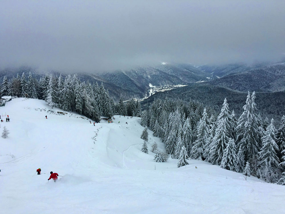 Stok narciarski w Sinaia w strefie subalpejskiej