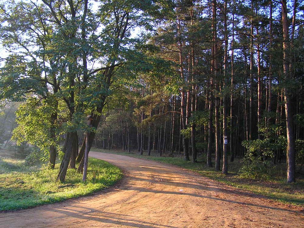 Okolice Palmir